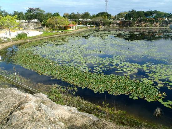 Cenote X Batun